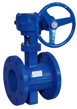 Eccentric Worm Gear Driven Butterfly Valve