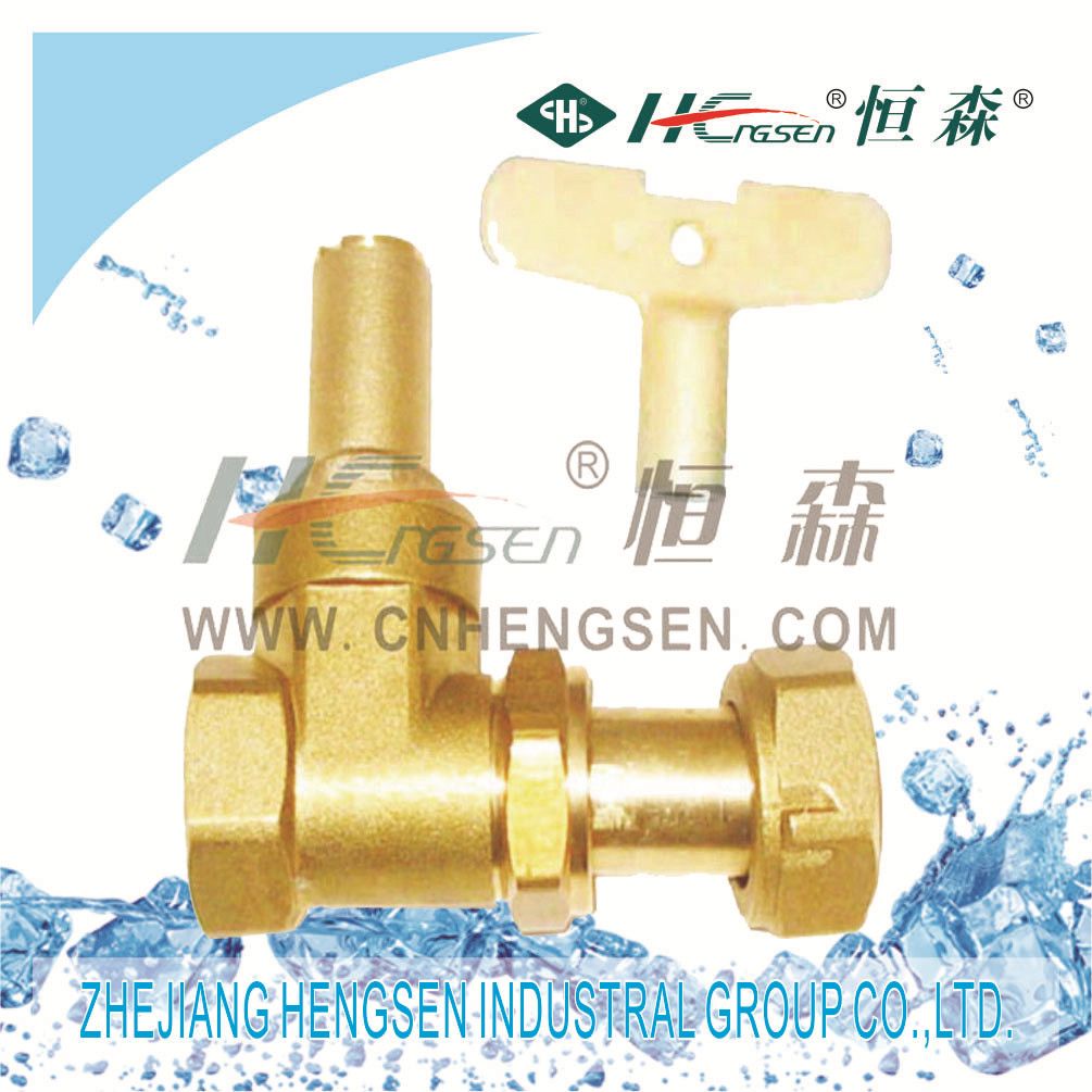 Brass Flexible Gate Valve with Lock