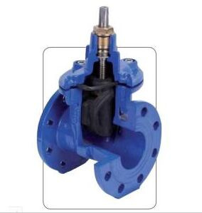 Resilient Seated Gate Valve Ductile Iron Z45X