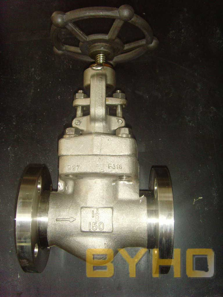 Forged Stainless Steel Flanged Globe Valve