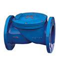 Rubber Disc Check Valve (LIFC6004)