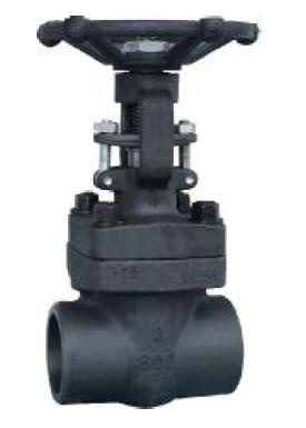 API Forged Flange 800lb Globe Valve