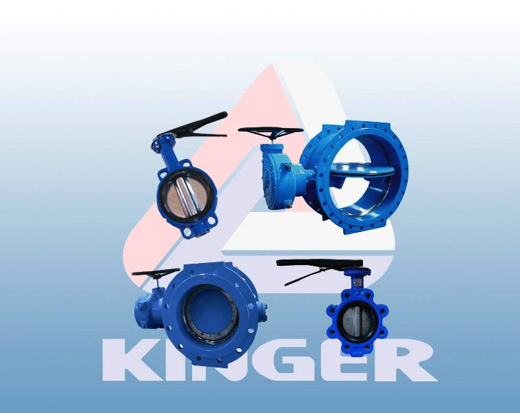 Butterfly Valve