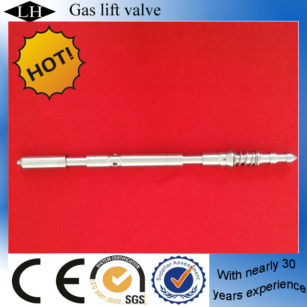 Oil Wells Down Hole Gas Lift Valve (LH00316)