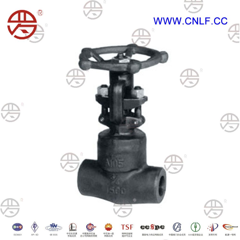 Forged Steel Globe Valve