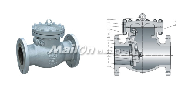 Cast Steel Check Valve (DIN3840)