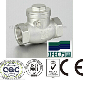 Swing Check Valve (IFEC-CV100001)