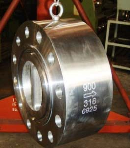 Stainless Steel Lug Type Check Valve