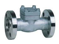 Forged Steel Check Valve