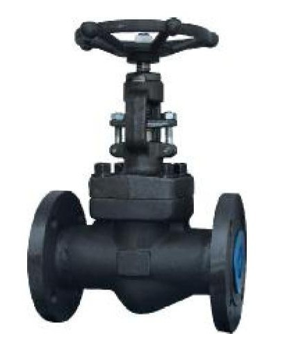 API 602 Forged Globe Valve