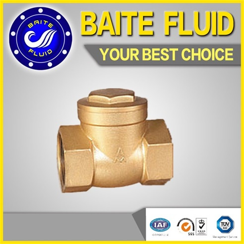 Check Valve