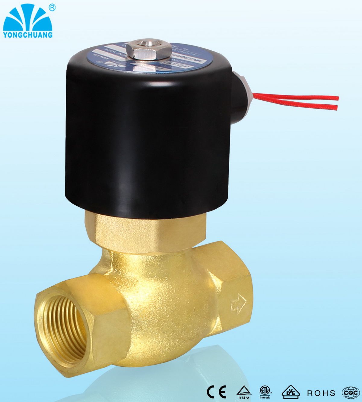 Brass Piston Steam Solenoid Valve (2L)