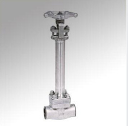 Forged Steel Cryogenic Gate Valve (DTV-Z008)