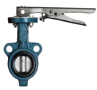 Gear Drive Butterfly Valve D71-10Q