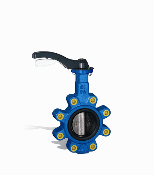 Lug Version Butterfly Valve (DN50)
