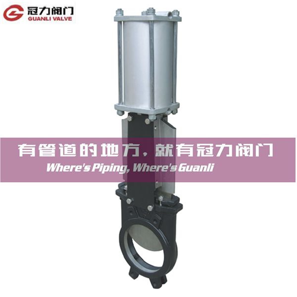 DIN Pneumatic Knife Gate Valve