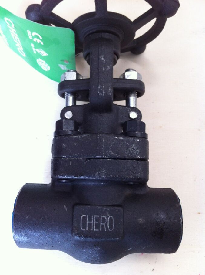 API600&API602 Sw Forged Gate Valve