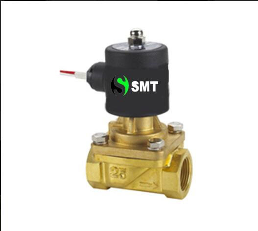 Rsps-25 Piston Zero Pressure Steam Solenoid Valve