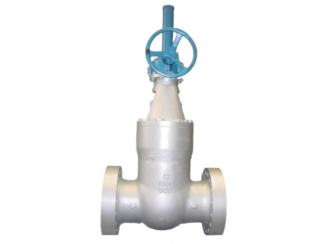 Ss/CS Pressure Seal Gate Valve