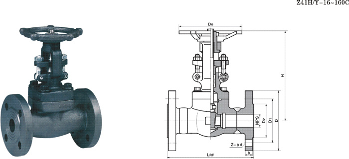 Flange Forging Gate Valve (204)