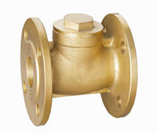 Brass Flange Check Valve