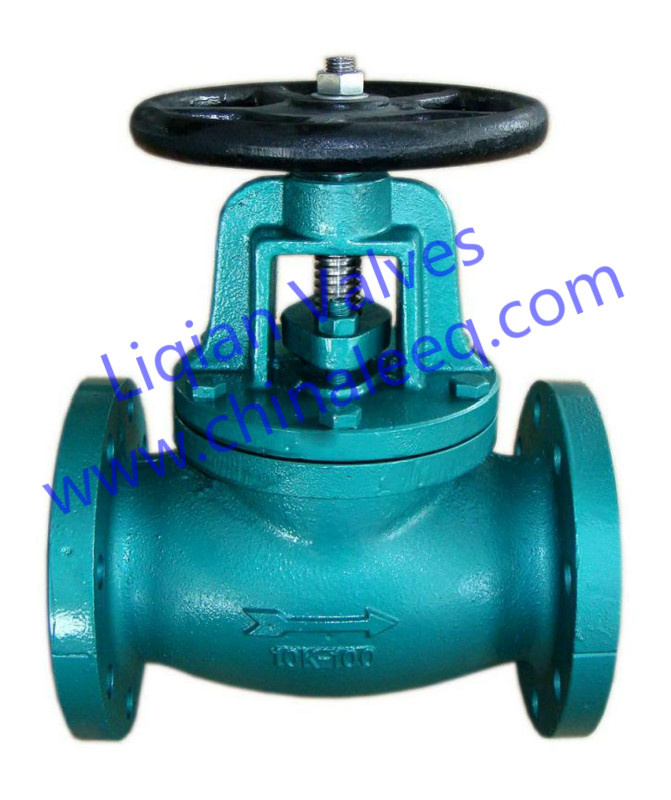 BS Cast Iron Globe Valve