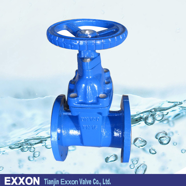 Non-Rising Stem Resilient Seat Gate Valve (DIN 3352 F4)