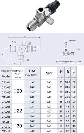 With NPT Valves 1