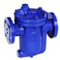 Inverted Bucket Steam Trap Valve