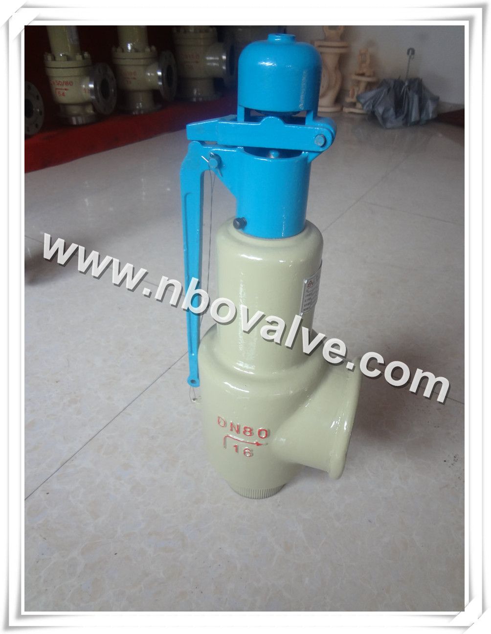 Auto Pressure Safety Valve (A48Y)