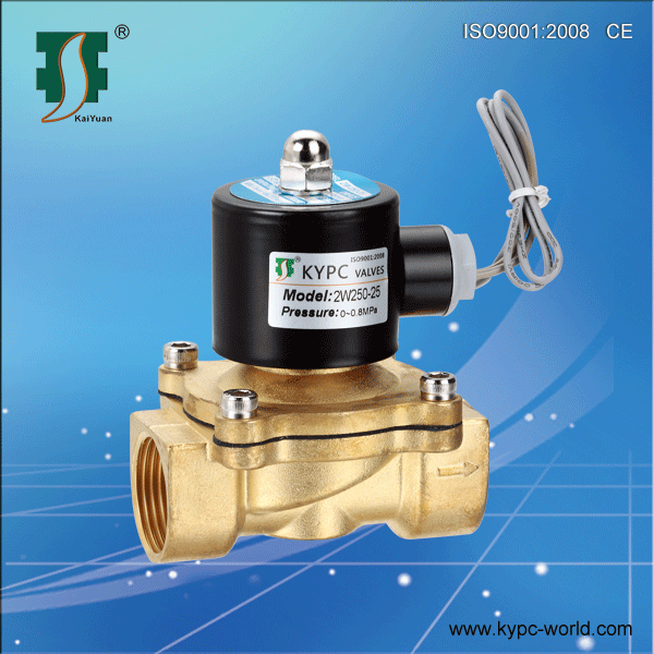 2W250-25 2/2 Way Solenoid Valve, Water Vale, Brass Valve, G1