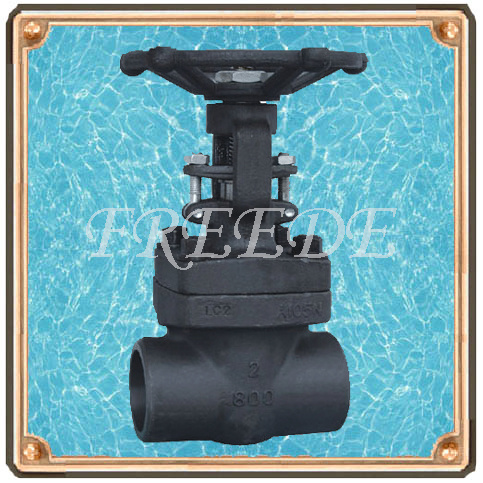 Forged Steel Gate Valve