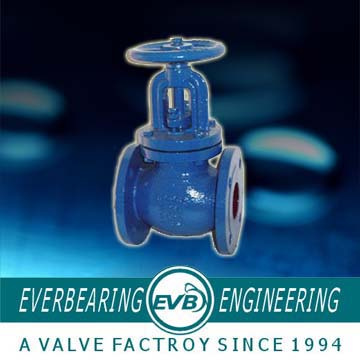 Globe Valve (GBV-020-G)