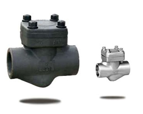 Forged Life Check Valve