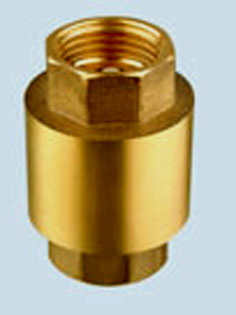 Check Valve