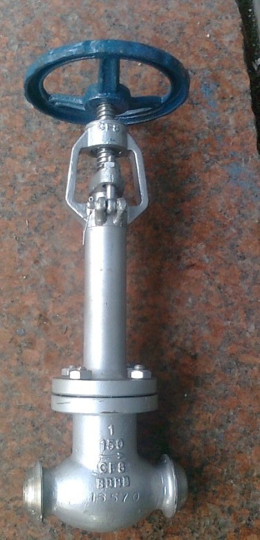 Butt-Weld Cryogenic Globe Valve with Long Stem (J61Y)