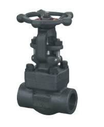 Thread Forged Steel Gate Valve