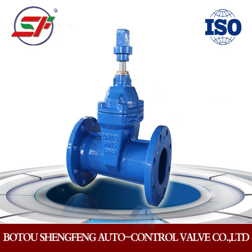 Resilient Seated Gate Valve