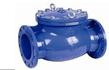 Blue Ductile Iron Swing Check Valve H44X