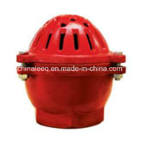 Foot Valve H12X-2.5