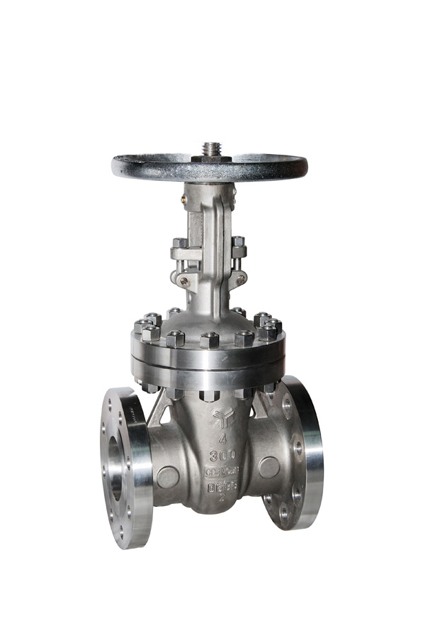 Flange Stainless Steel Hard Seal Stem Gate Valve