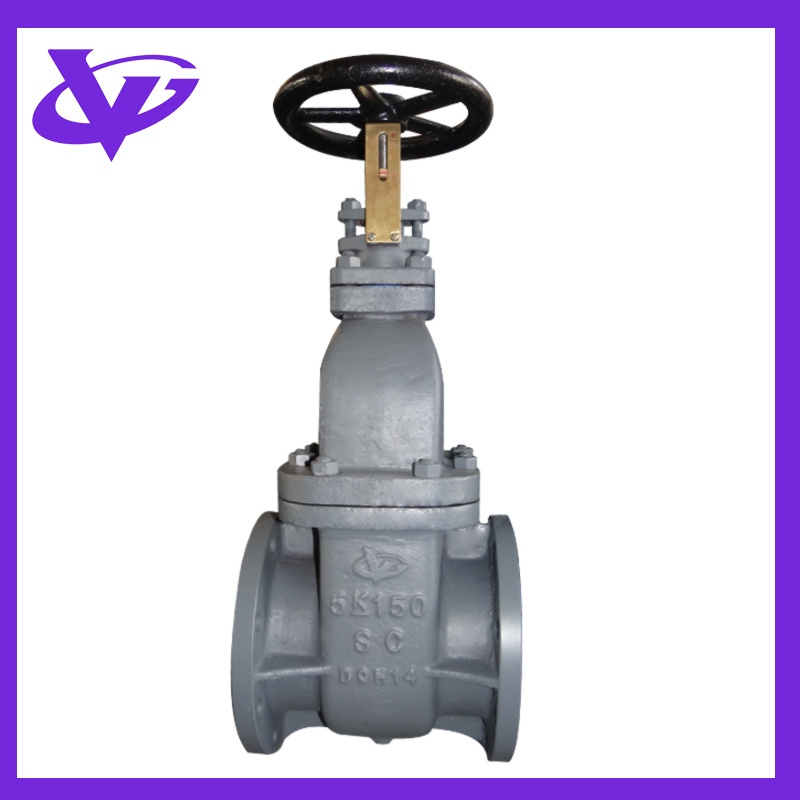 Cast Steel Gate Valve (JIS F7363C 5K150)