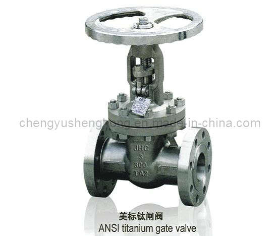 Titanium Gate Valve