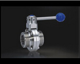 Stainless Steel Thread Butterfly Valve