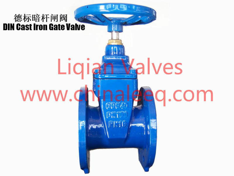 DIN Non Rising Stem Gate Valve F5