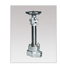 Cryogenic Gate Valve