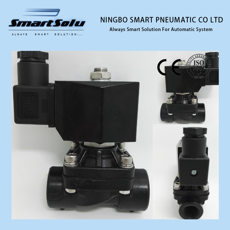 Smart High Quality 2W Series Solenoid Valve (2W160-15p)