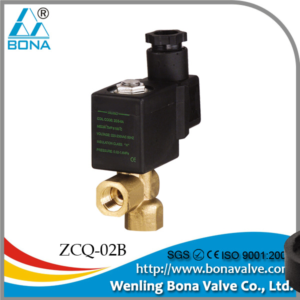 Steam Ironing Solenoid Valve (ZCQ-02B)