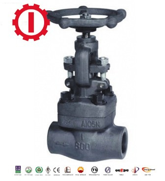 API Forged Steel Globe Valves (Bolted Bonnet)