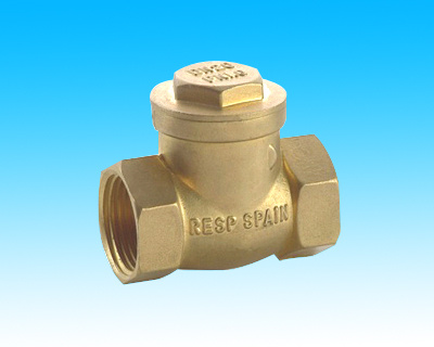 Check Valves